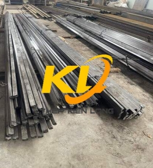 THANH RAY ĐẶC 30X50/ THÉP RAY 50X30